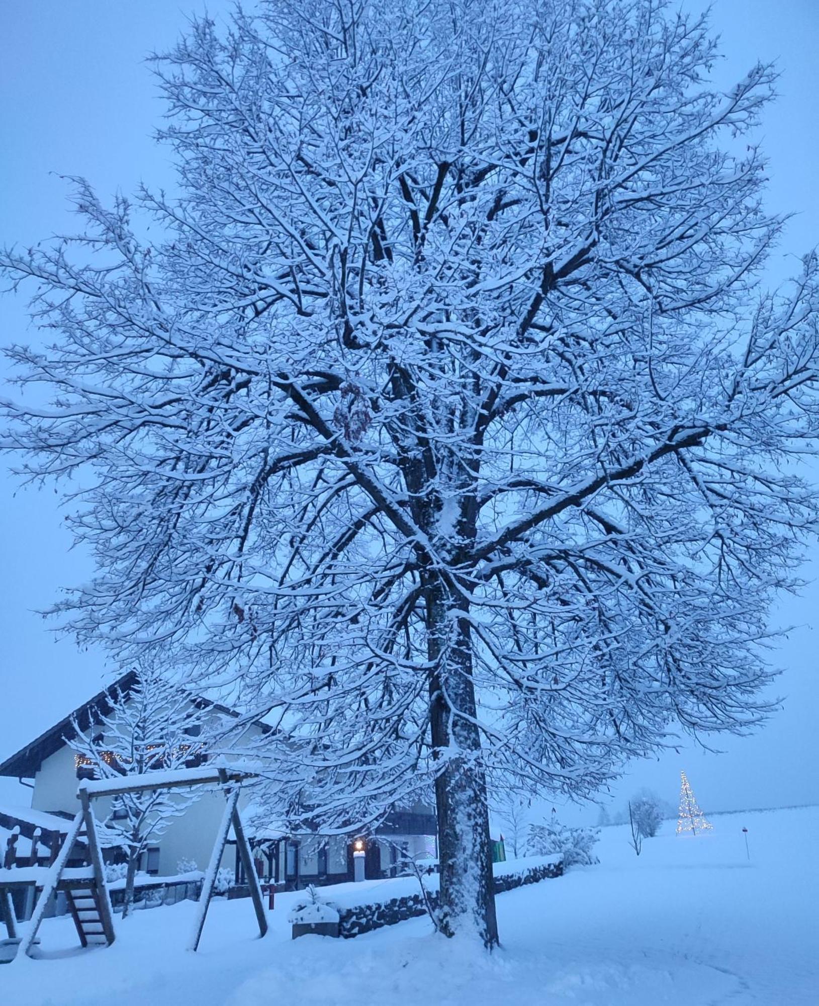 Fruehstuecks-Pension Lichtenauer Hof Thyrnau Exteriér fotografie